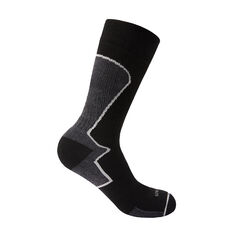 MERINO Trek II Sock - Snowgum